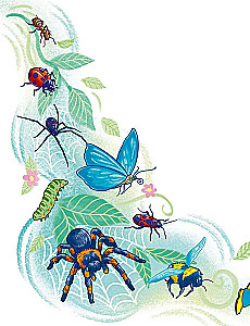 Insects and Spiders. Children's Encyclopedia